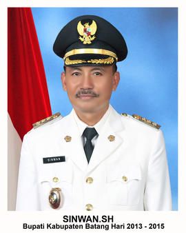 Bupati Kabupaten Batan Hari Periode 2013-2015